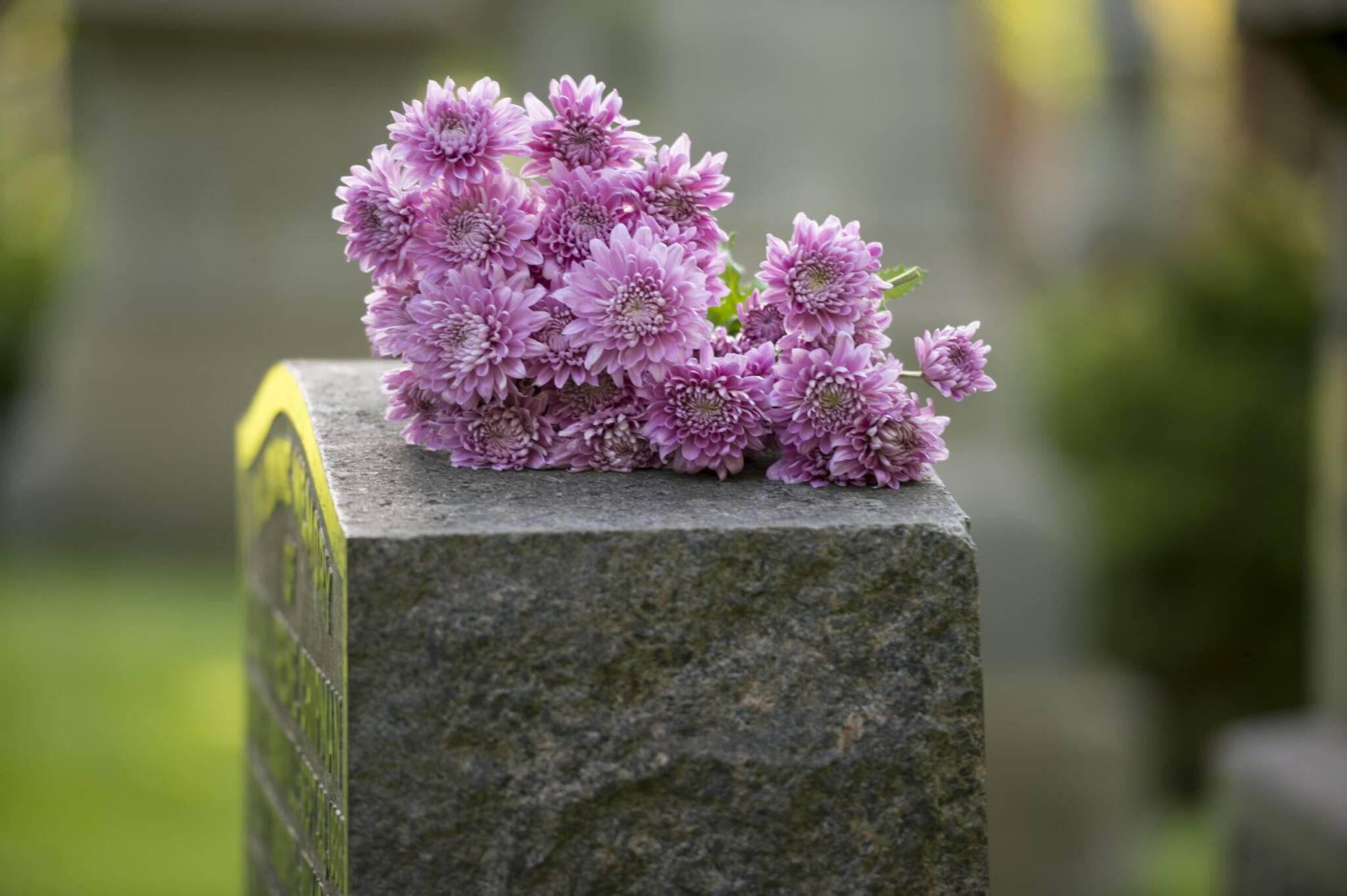 Create A Legacy In Stone